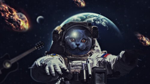 cats2 0802