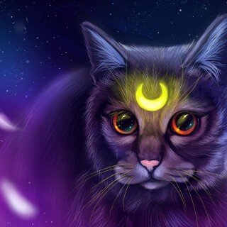 cats2_0853