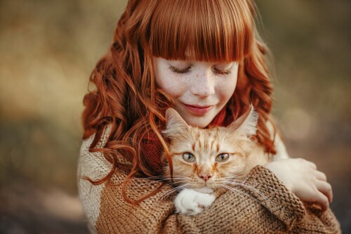 cats2 1116