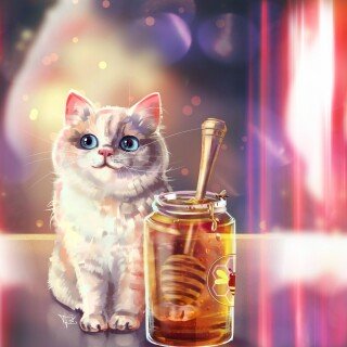 cats2_1292