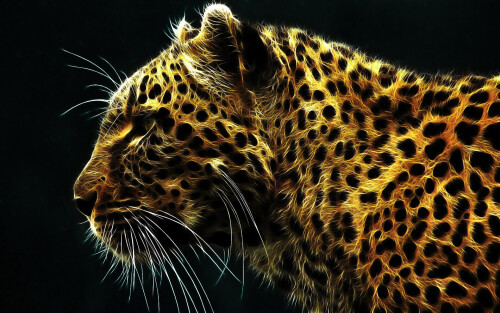 cats2 1514