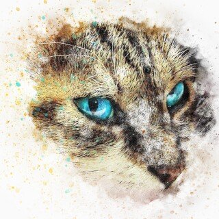 cats2_1601
