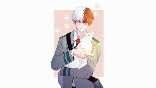 cats2 1607