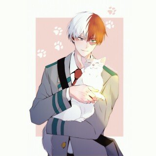cats2_1607