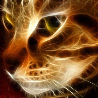 cats2_1626