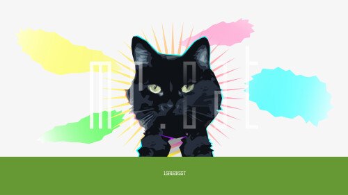 cats2 1627