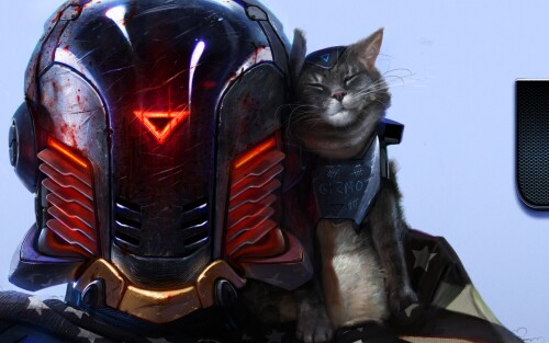cats2 1656