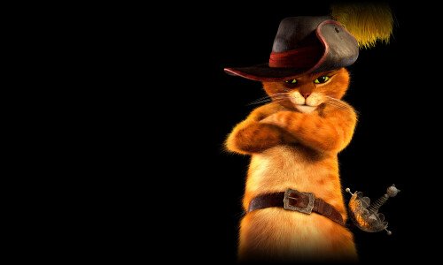 cats2 1657