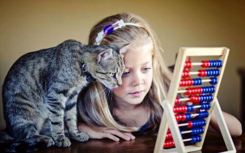 cats2 1745
