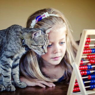 cats2_1745