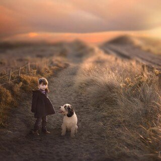 dogs1_0169