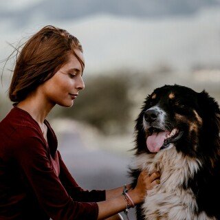 dogs1_0313