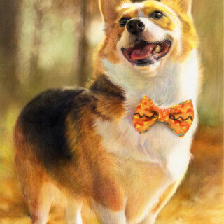 dogs1_0447