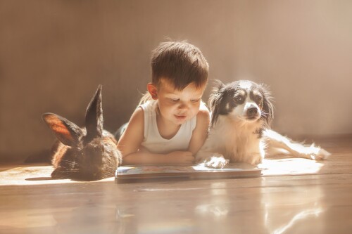 dogs1 0526