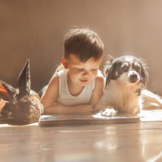 dogs1_0526