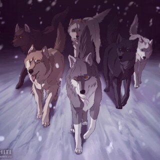 dogs1_0597