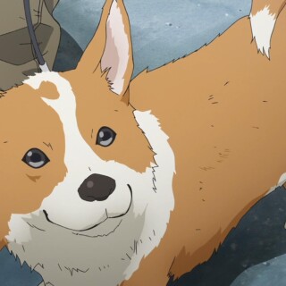 dogs1_0680