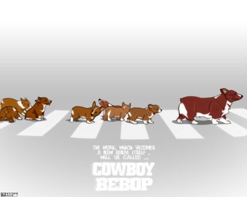 dogs1 0863