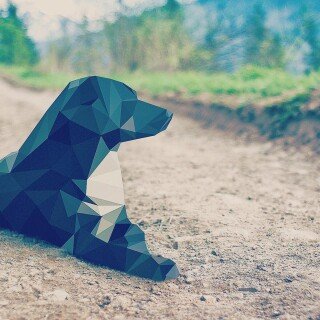 dogs2_0087