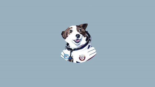 dogs2_0209.jpg