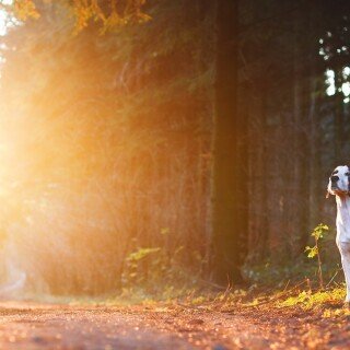 dogs2_0271