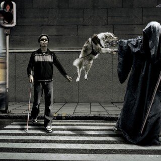 dogs2_0278