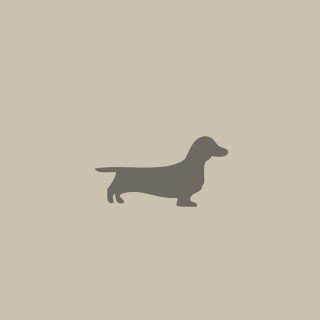 dogs2_0618