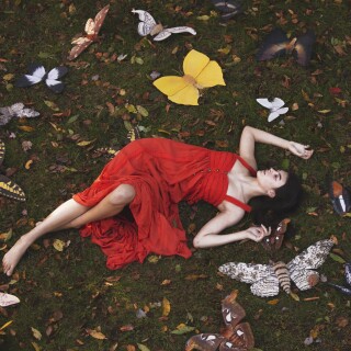 Butterfly_1343