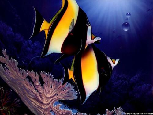 Fish_1_0560.jpg