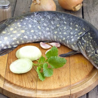 Fish_1_0586