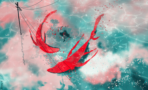 Fish_1_0626.jpg
