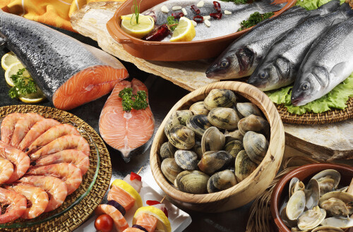 Fish_1_1241.jpg
