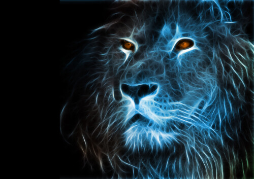 Lion_1_0906.jpg