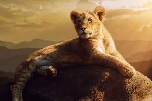 Lion_1_1233.jpg