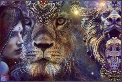 Lion_1_1287.jpg