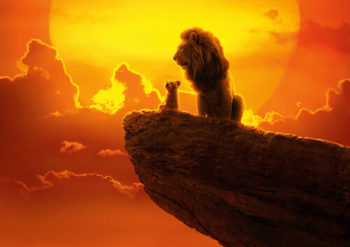 Lion_1_1398.jpg