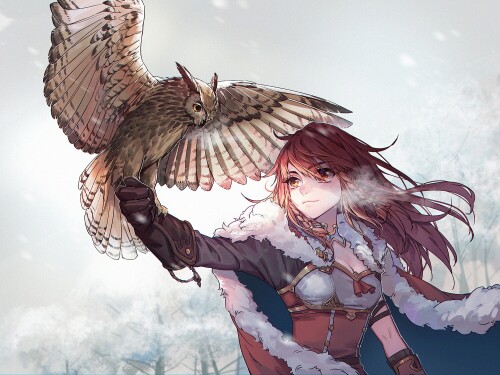 Owl_1_0566.jpg