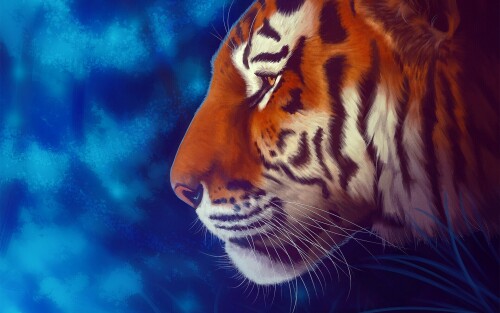 Tiger_1_1170.jpg