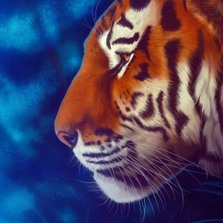 Tiger_1_1170