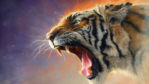 Tiger_1_1375.jpg