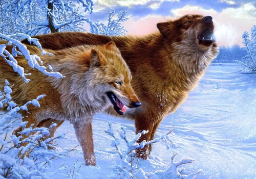 Wolf_1_0051.jpg