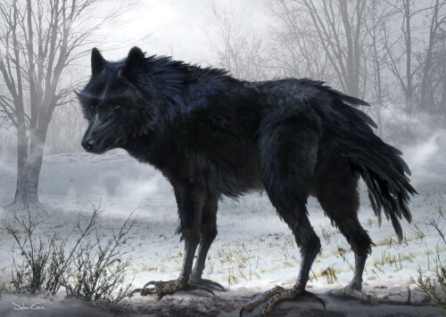 Wolf_1_0098.jpg