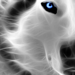 Wolf_1_0125