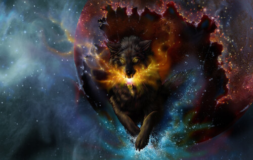 Wolf_1_0904.jpg