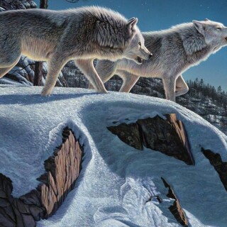 Wolf_1_0924
