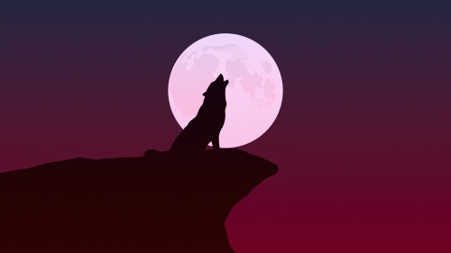 Wolf_1_0968.jpg