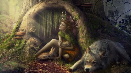 Wolf_1_1047.jpg