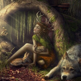 Wolf_1_1047
