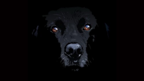 dogs3_1636.jpg