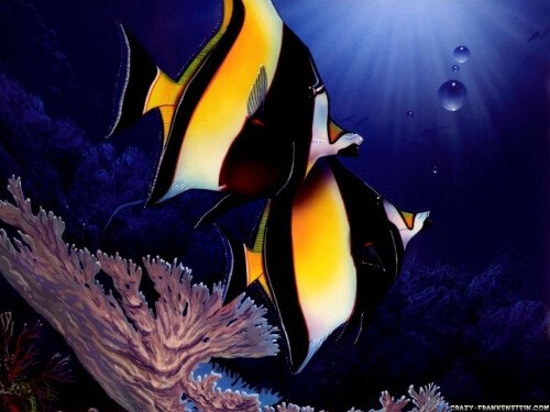 Fish_1_0560.jpg